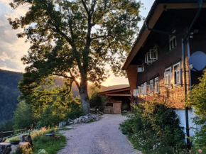 Feißesberghof - Wohnung in der Tenne